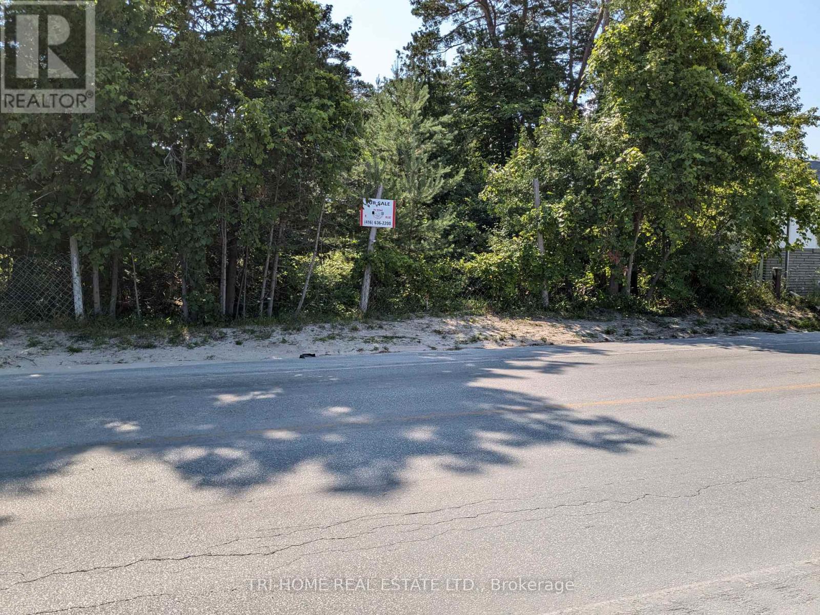 163 Mosley Street, Wasaga Beach, Ontario  L9Z 2K1 - Photo 2 - S12222815