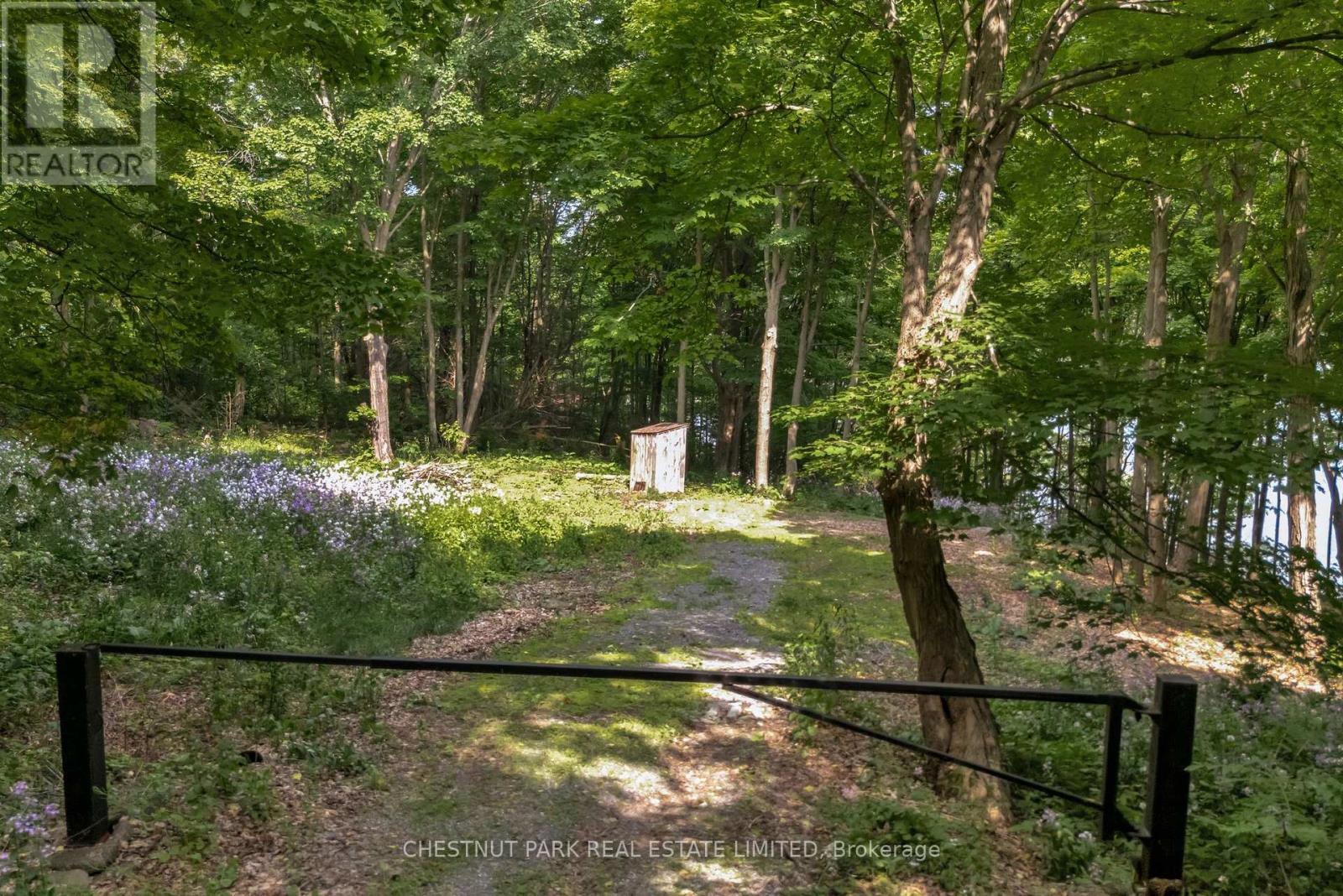 N/a Mccarthy Lane, Prince Edward County, Ontario K0K 2T0 - Photo 4 - X12223069