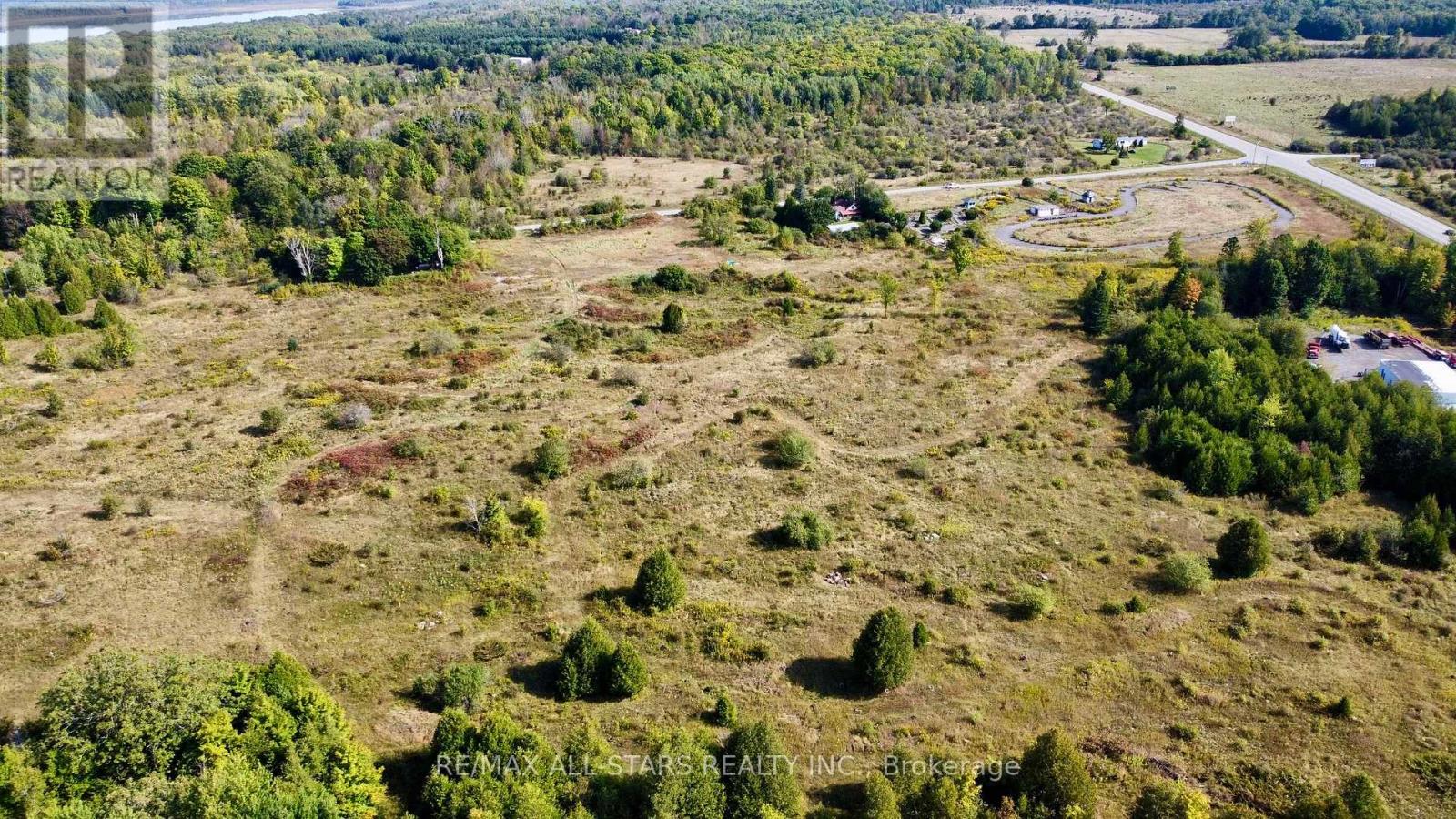 228 Blanchards Road, Kawartha Lakes, Ontario  K0M 2B0 - Photo 4 - X12222942