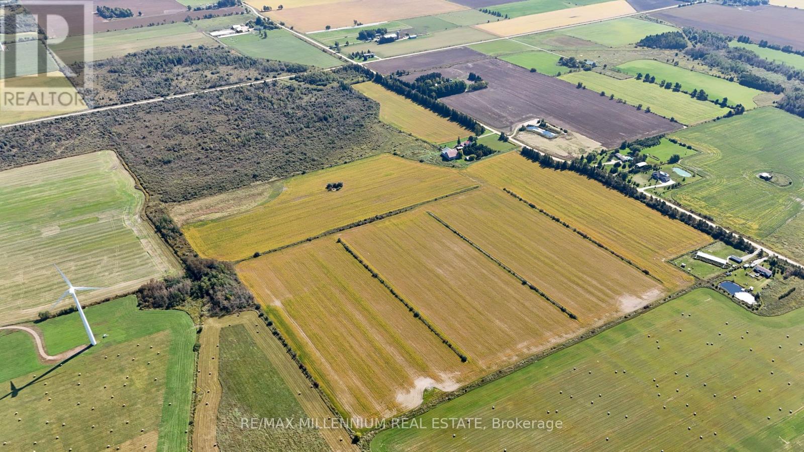 423365 - 25 Side Road, Amaranth, Ontario  L9V 1M3 - Photo 35 - X12223009