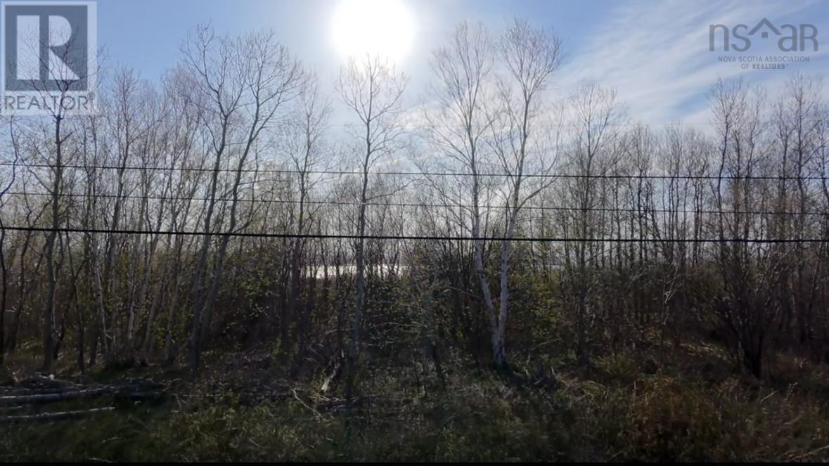 1 Cornishtown Road, Nova Scotia, Nova Scotia  B1N 3J9 - Photo 1 - 202511312