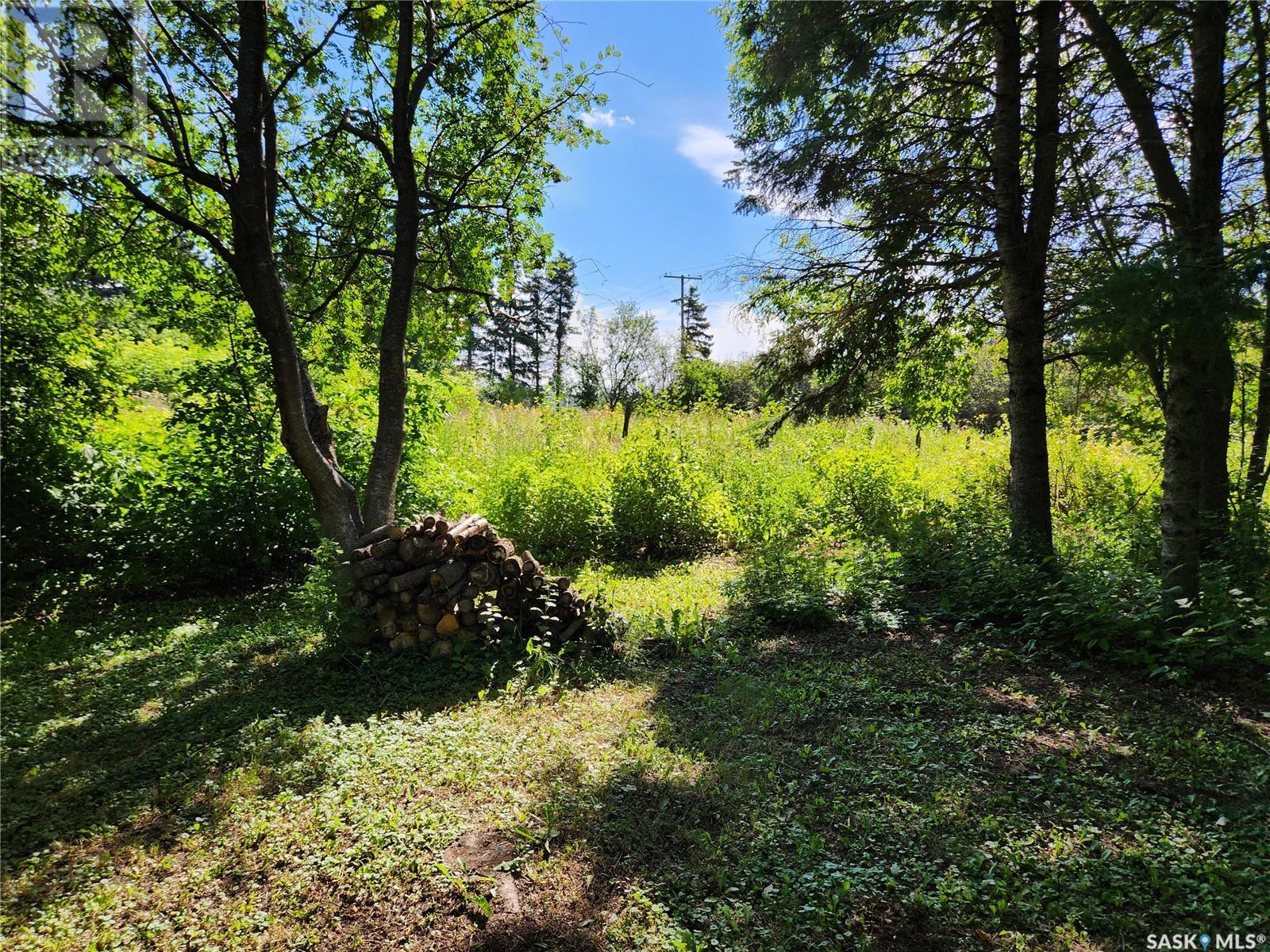 Holinaty Land, Porcupine Rm No. 395, Saskatchewan  S0E 1H0 - Photo 6 - SK992836