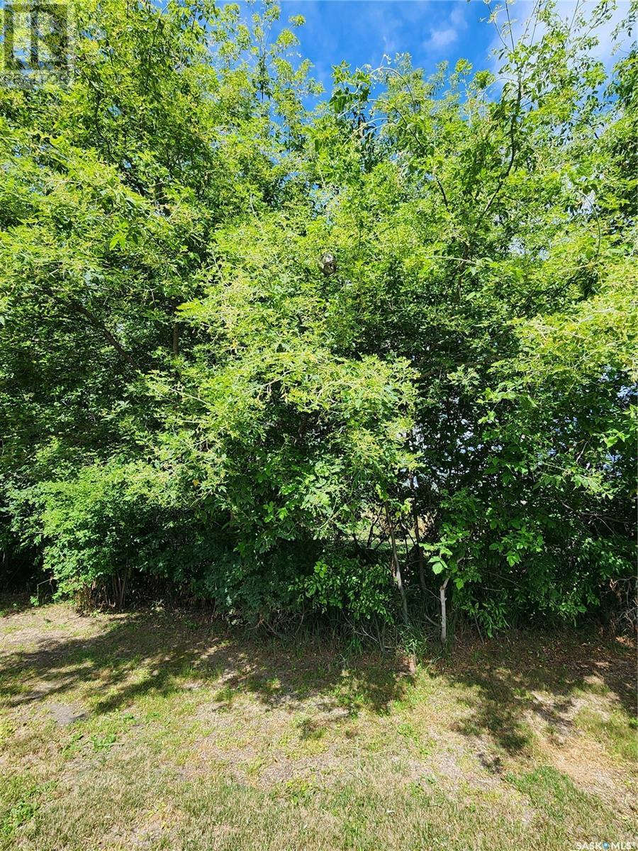 Holinaty Land, Porcupine Rm No. 395, Saskatchewan  S0E 1H0 - Photo 4 - SK992836