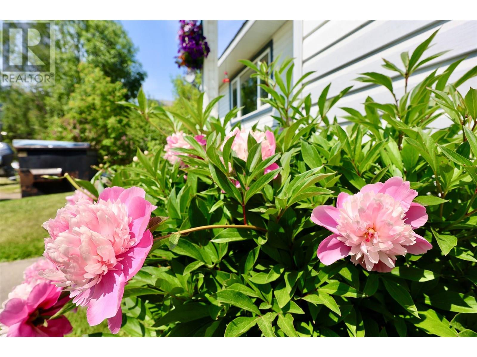 505 10th Street S, Golden, British Columbia  V0A 1H0 - Photo 15 - 10352275