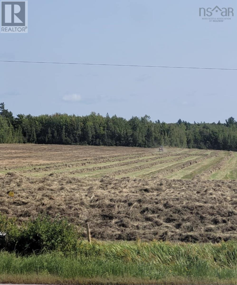7729 Highway 321, Roslin, Nova Scotia  B0K 1K0 - Photo 40 - 202514619