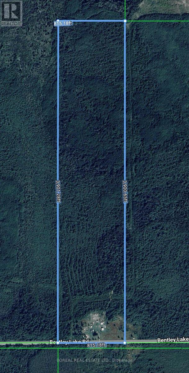 295-299 Bentley Lake Road, Cochrane, Ontario P0L 1C0 - Photo 4 - T12223630