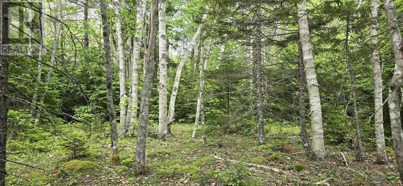 Lot Nathan Croft Road, Camperdown, Nova Scotia  B4V 6T9 - Photo 10 - 202514609