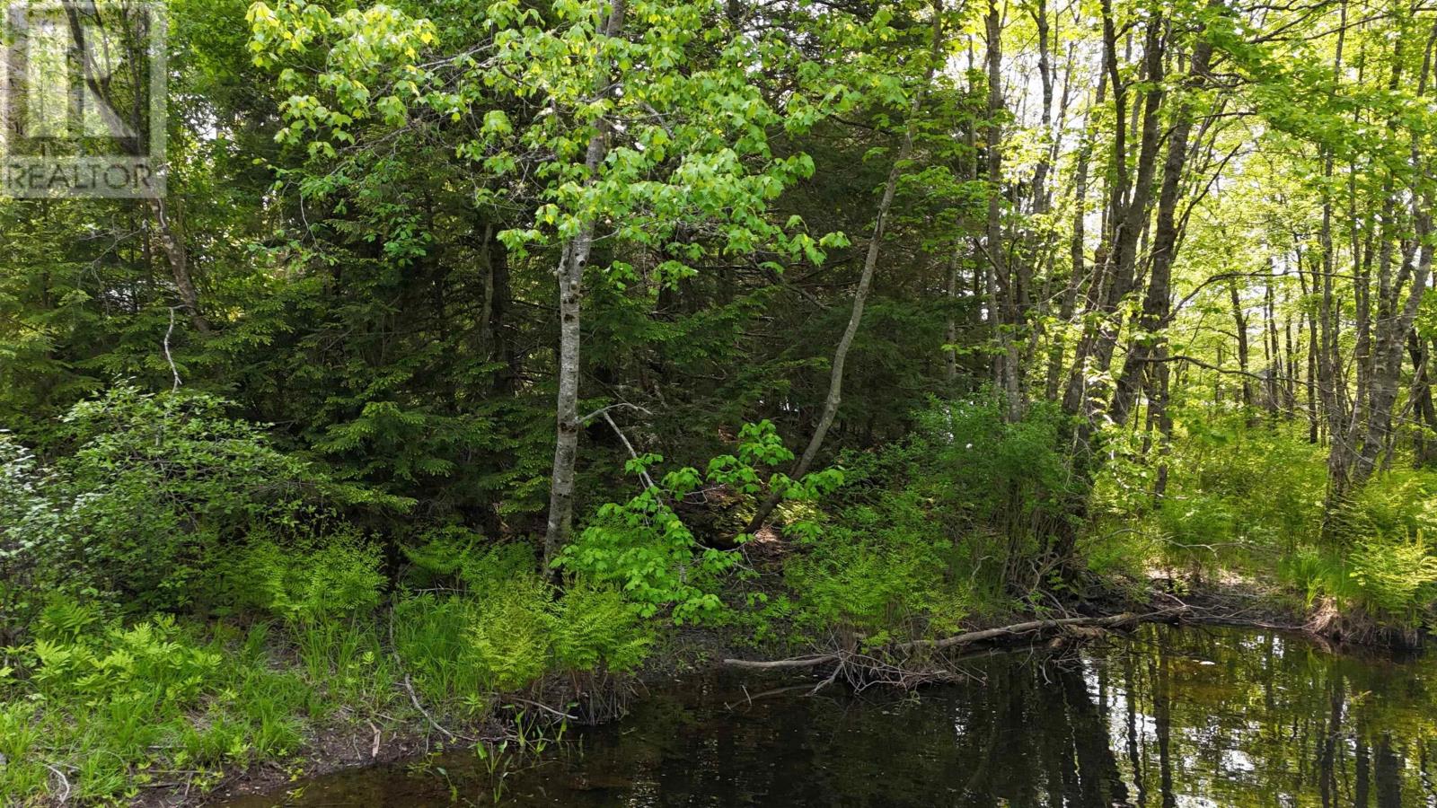 Lot Nathan Croft Road, Camperdown, Nova Scotia  B4V 6T9 - Photo 28 - 202514609