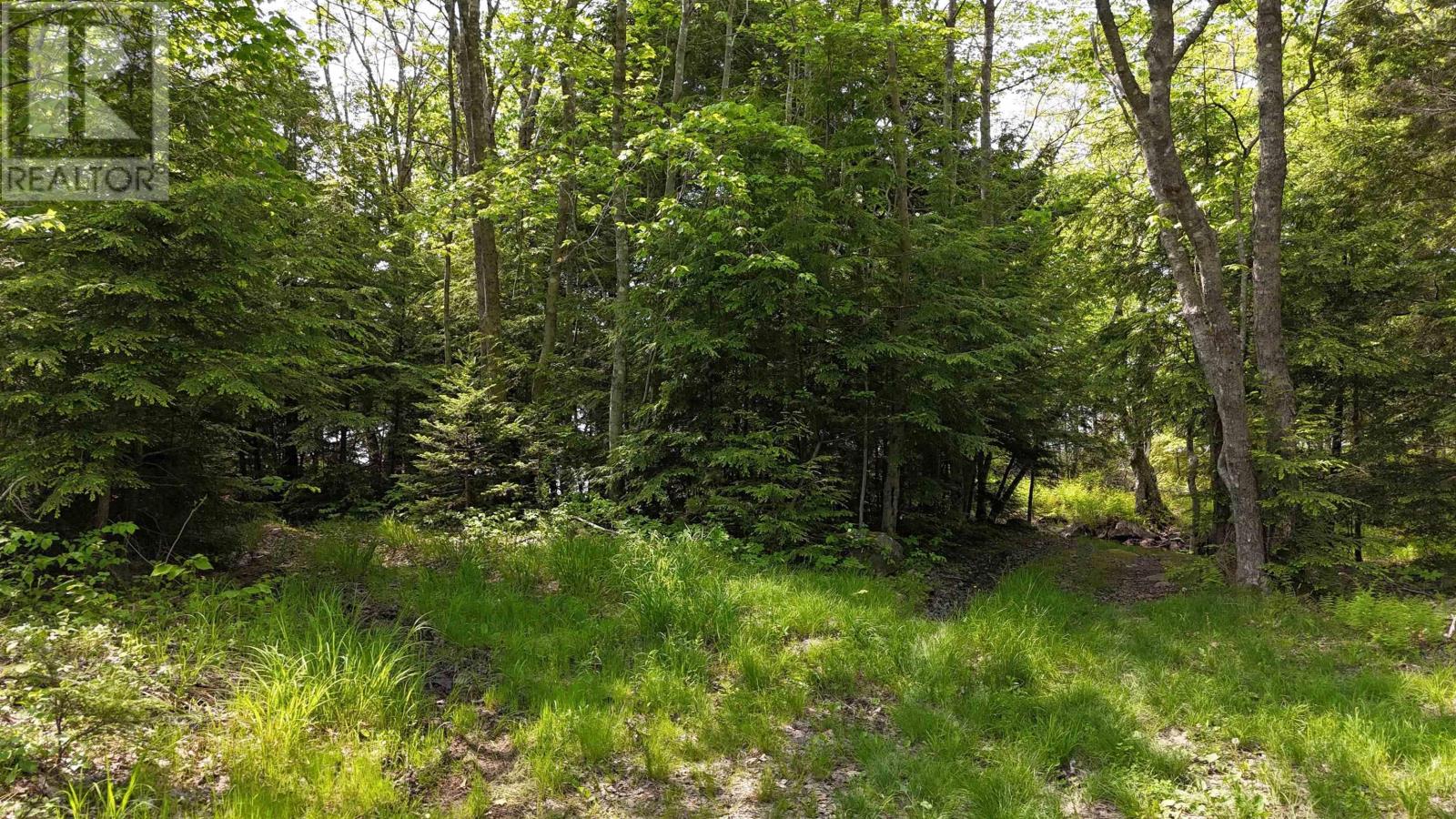 Lot Nathan Croft Road, Camperdown, Nova Scotia  B4V 6T9 - Photo 6 - 202514609