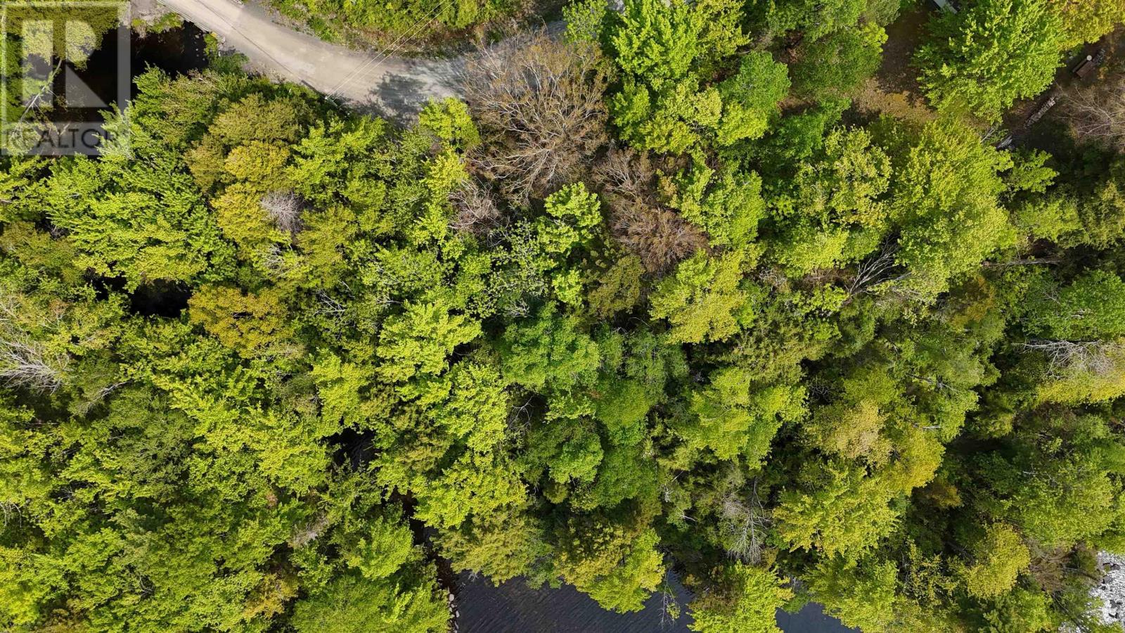 Lot Nathan Croft Road, Camperdown, Nova Scotia  B4V 6T9 - Photo 27 - 202514609