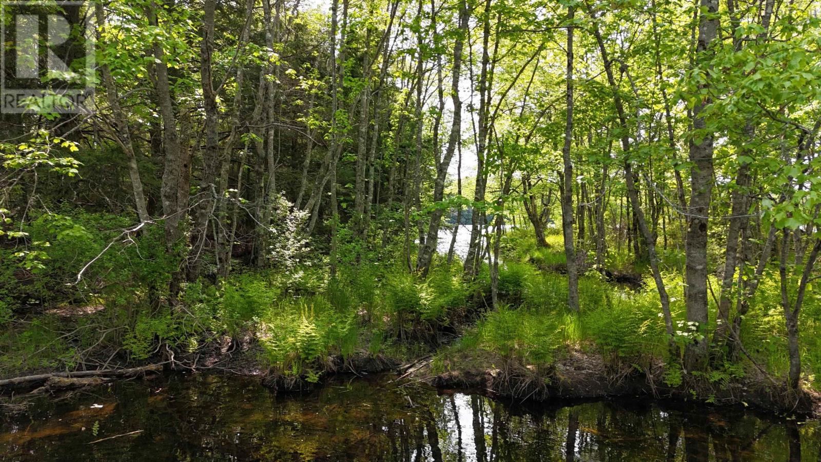 Lot Nathan Croft Road, Camperdown, Nova Scotia  B4V 6T9 - Photo 29 - 202514609