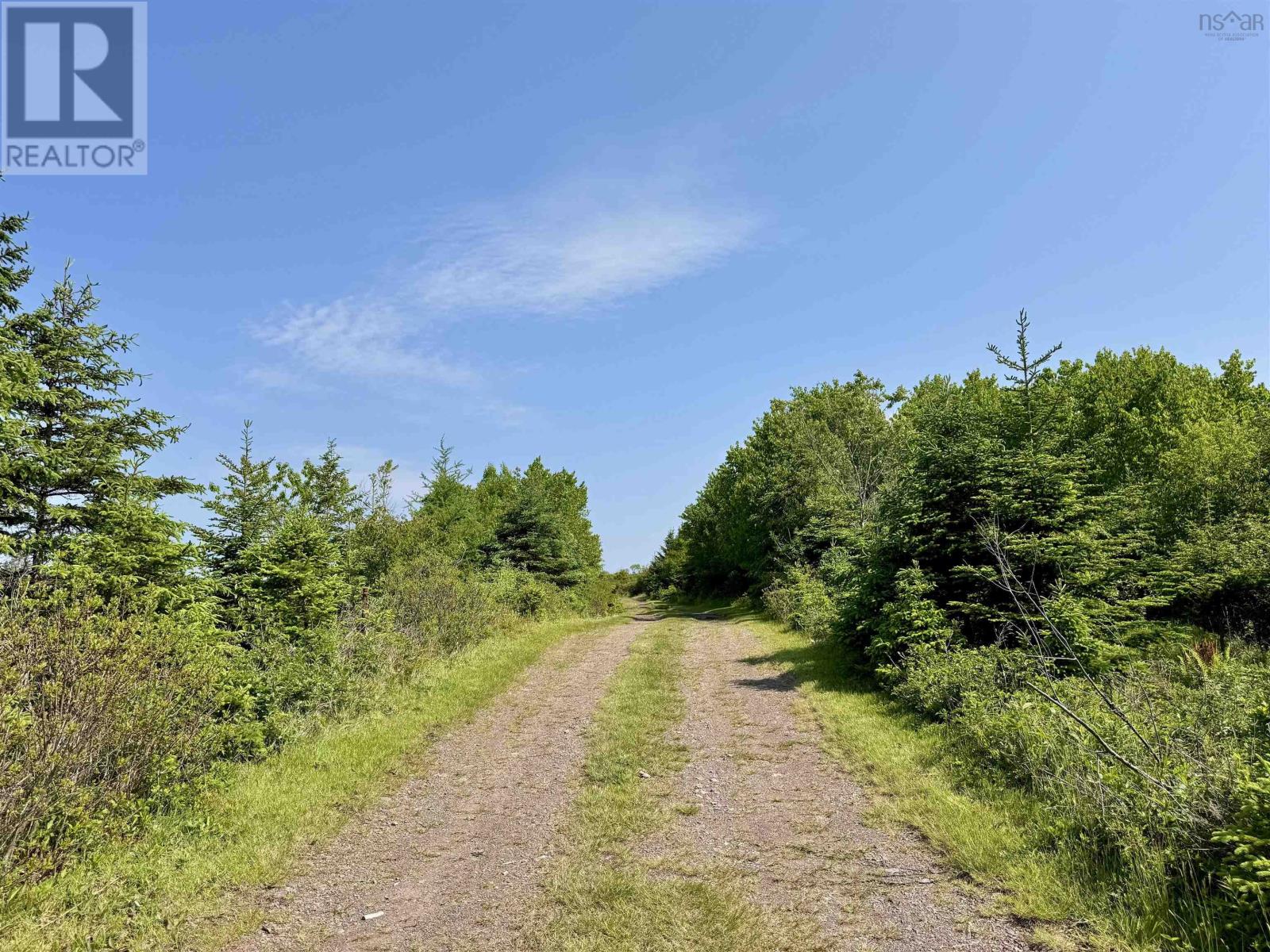 3123 Highway 320, D'escousse, Nova Scotia  B0E 1K0 - Photo 3 - 202514735