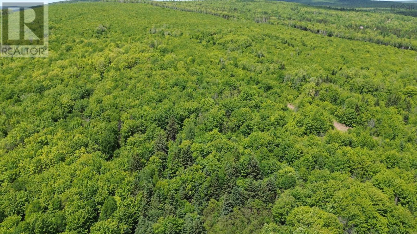 Acreage Ainslie Glen Road, Ainslie Glen, Nova Scotia  B0E 3M0 - Photo 26 - 202514737