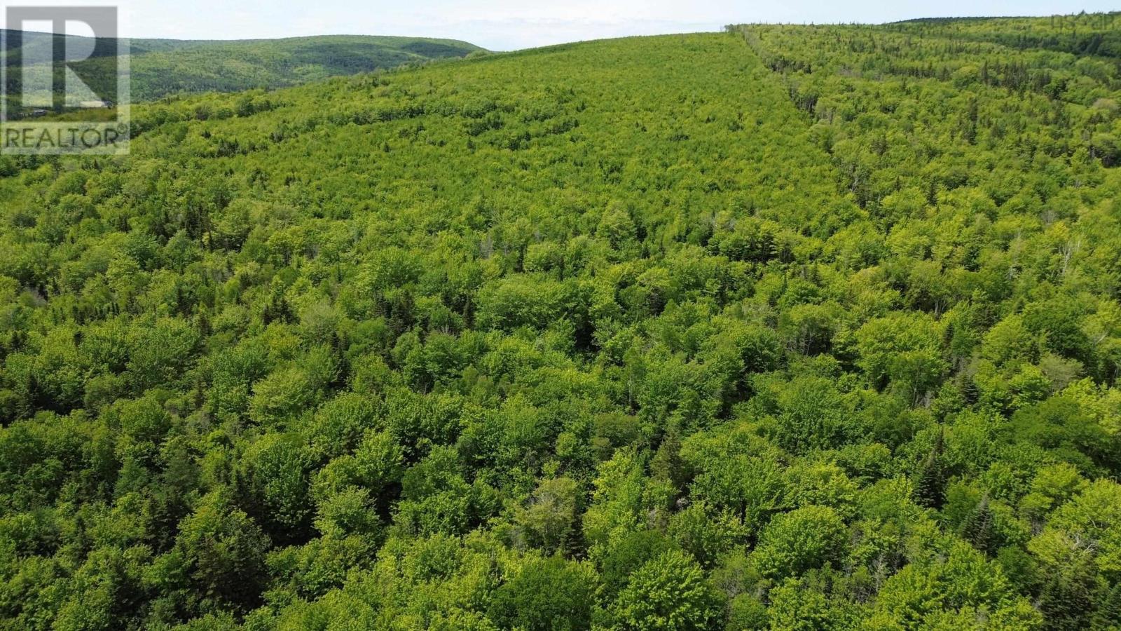 Acreage Ainslie Glen Road, Ainslie Glen, Nova Scotia  B0E 3M0 - Photo 44 - 202514737