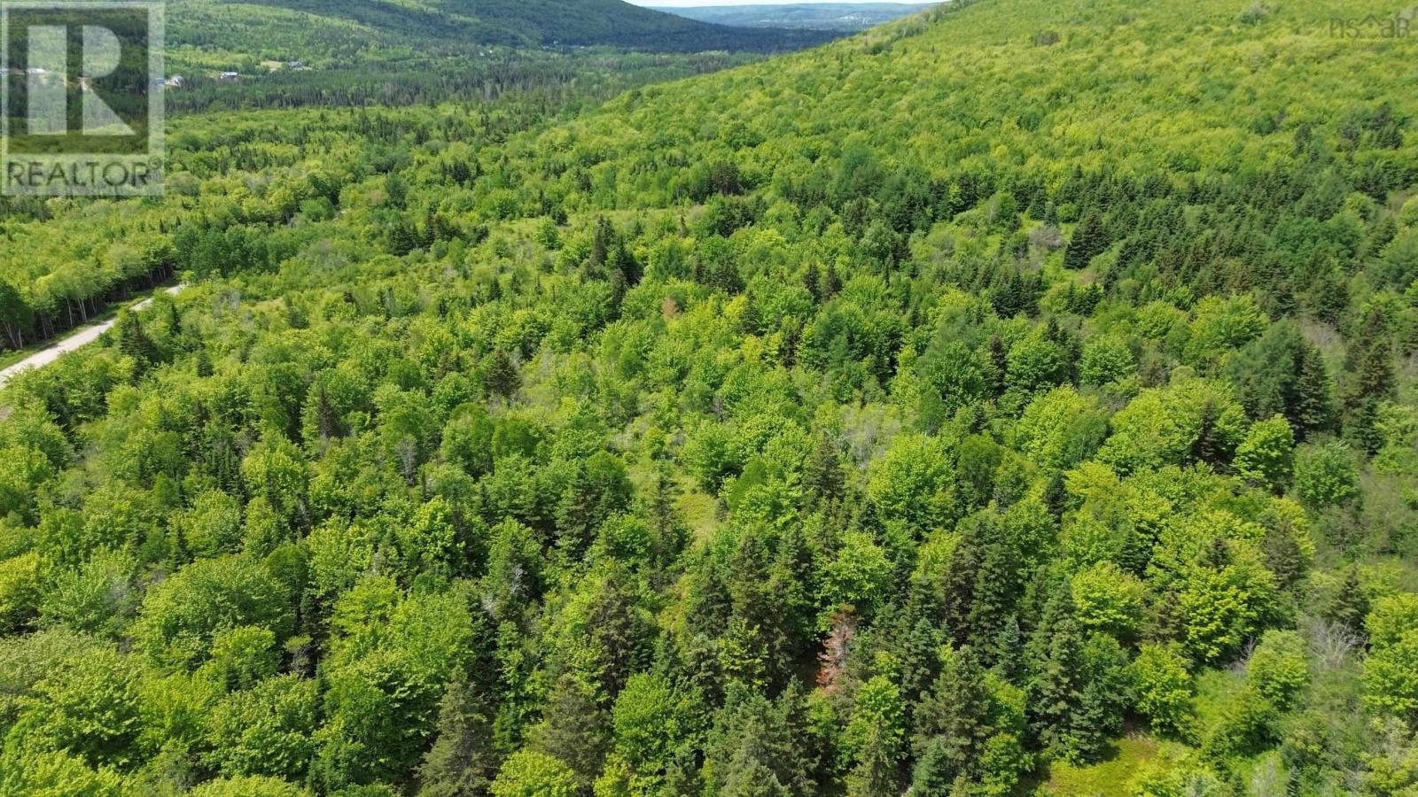 Acreage Ainslie Glen Road, Ainslie Glen, Nova Scotia  B0E 3M0 - Photo 47 - 202514737