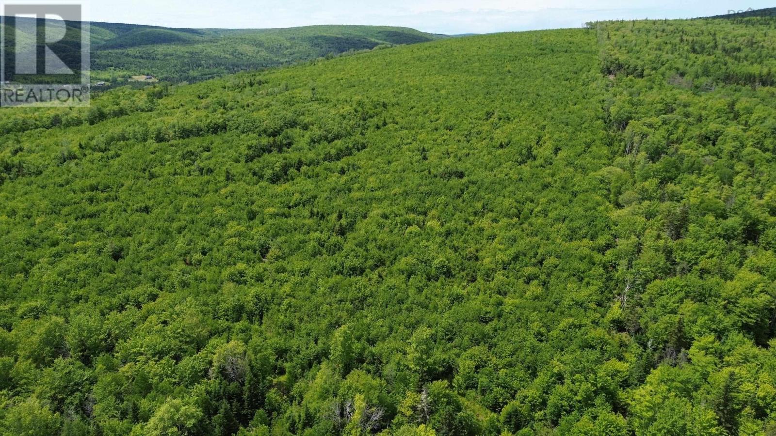 Acreage Ainslie Glen Road, Ainslie Glen, Nova Scotia  B0E 3M0 - Photo 48 - 202514737