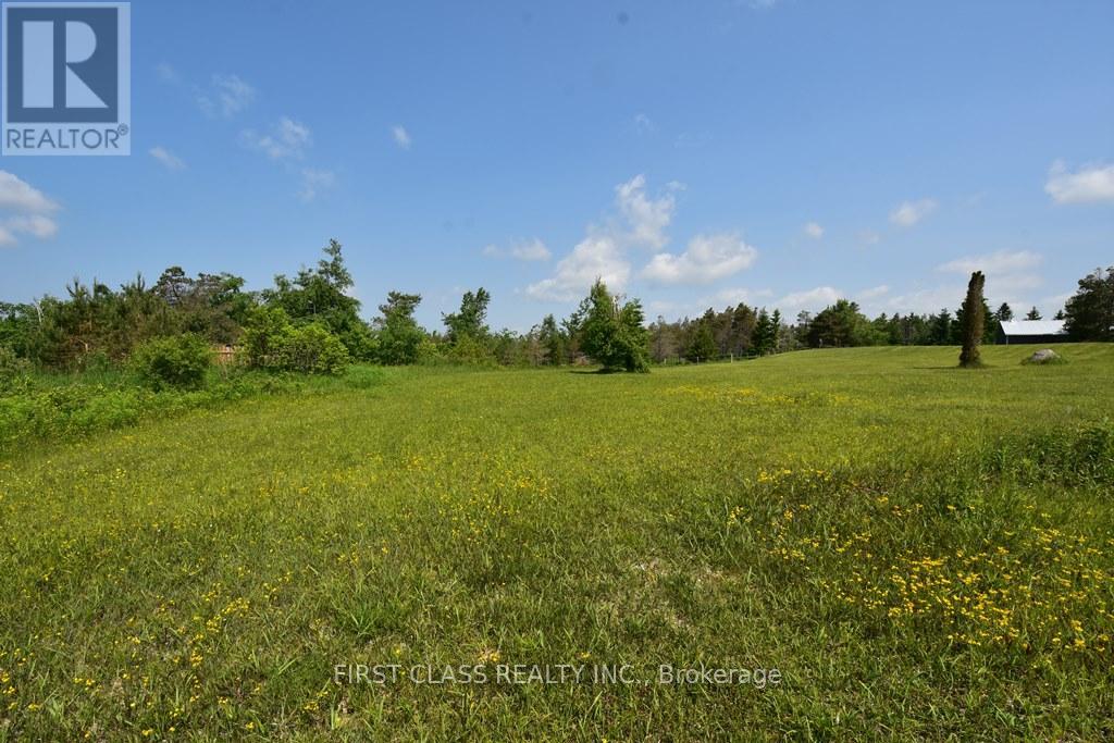 1859 County Road 46 Road, Kawartha Lakes, Ontario  K0M 2T0 - Photo 10 - X12197142