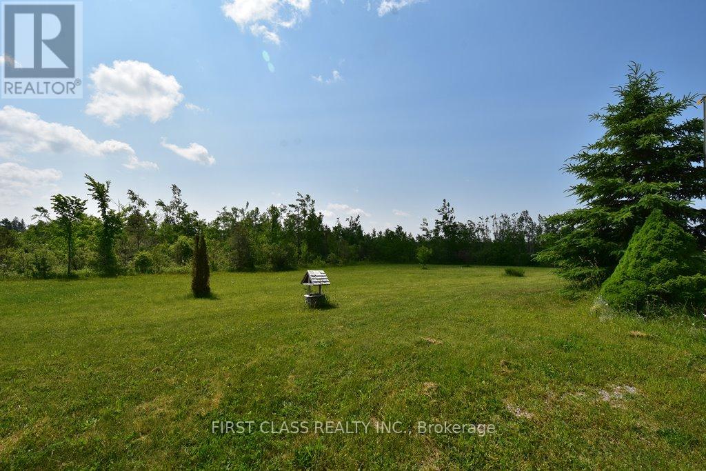 1859 County Road 46 Road, Kawartha Lakes, Ontario  K0M 2T0 - Photo 6 - X12197142