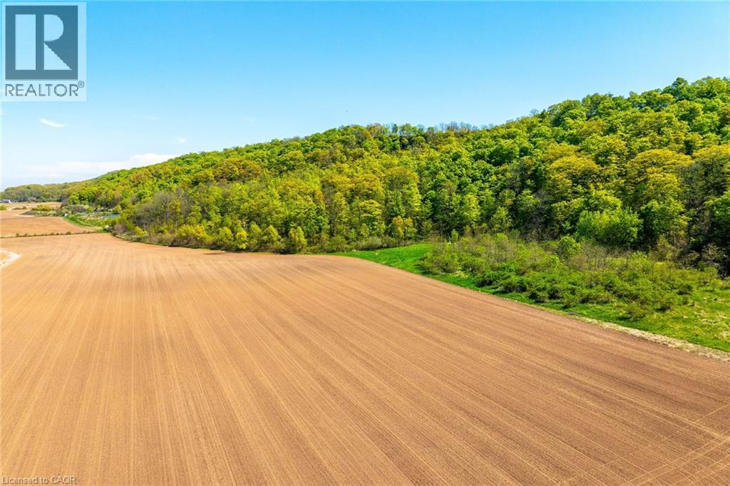 181 Glover Road, Stoney Creek, Ontario  L8E 5R1 - Photo 7 - 40727683