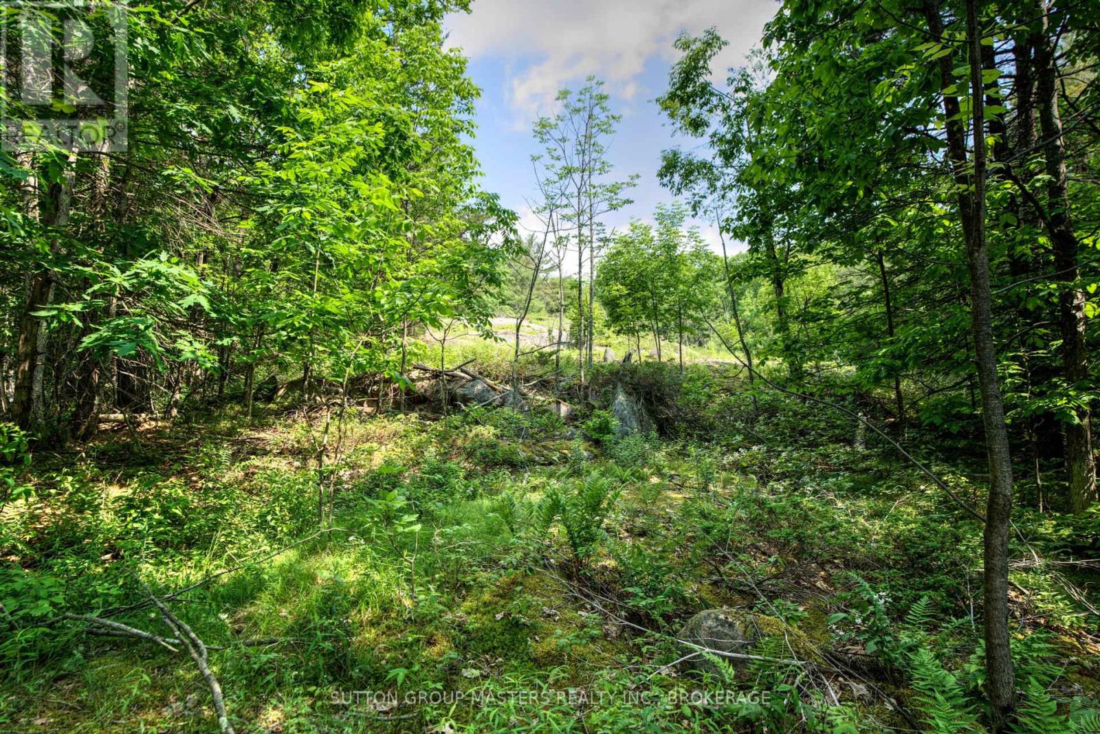 0 Burnt Hills Road, Frontenac, Ontario  K0H 1H0 - Photo 5 - X12223913