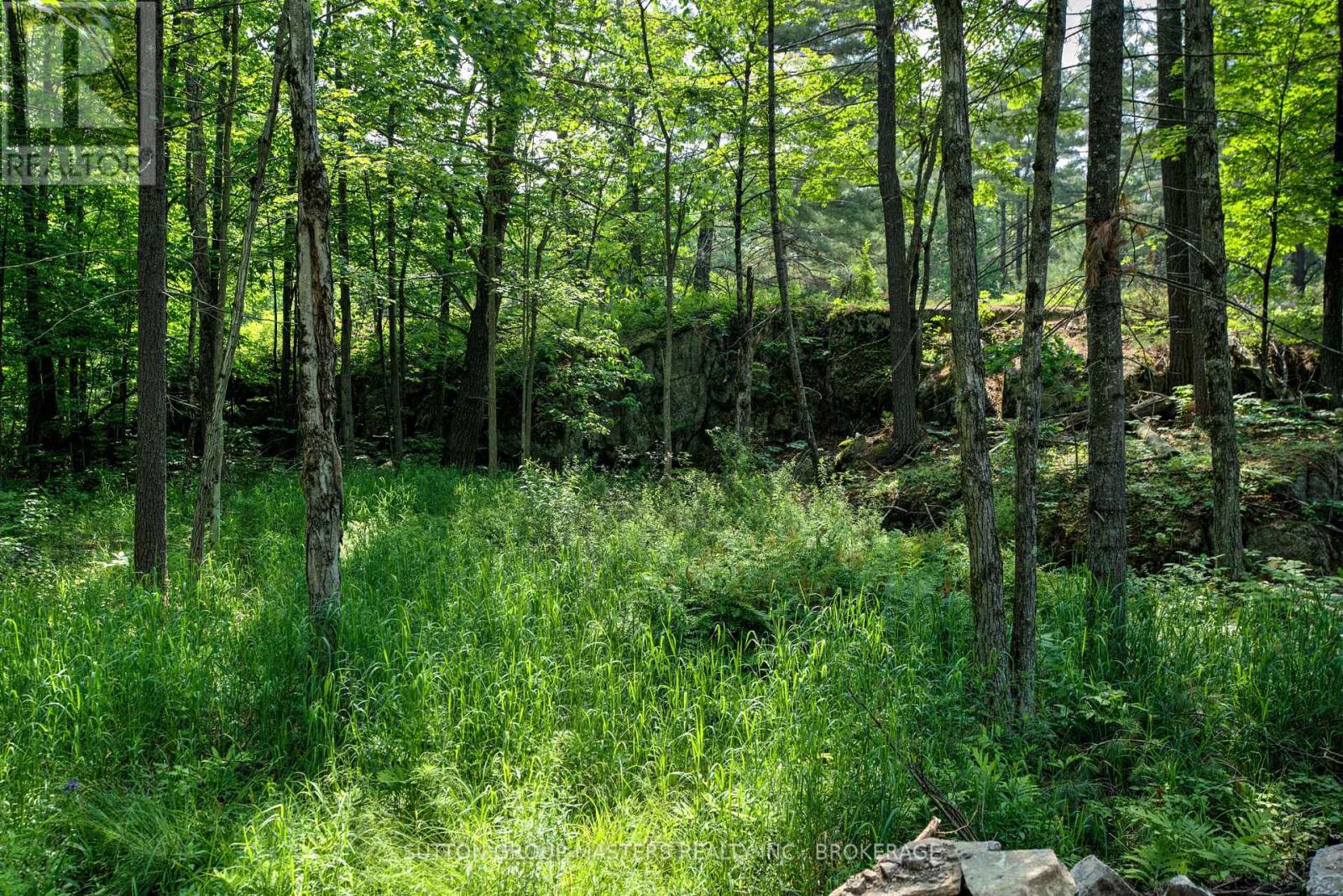 0 Burnt Hills Road, Frontenac, Ontario  K0H 1H0 - Photo 9 - X12223913