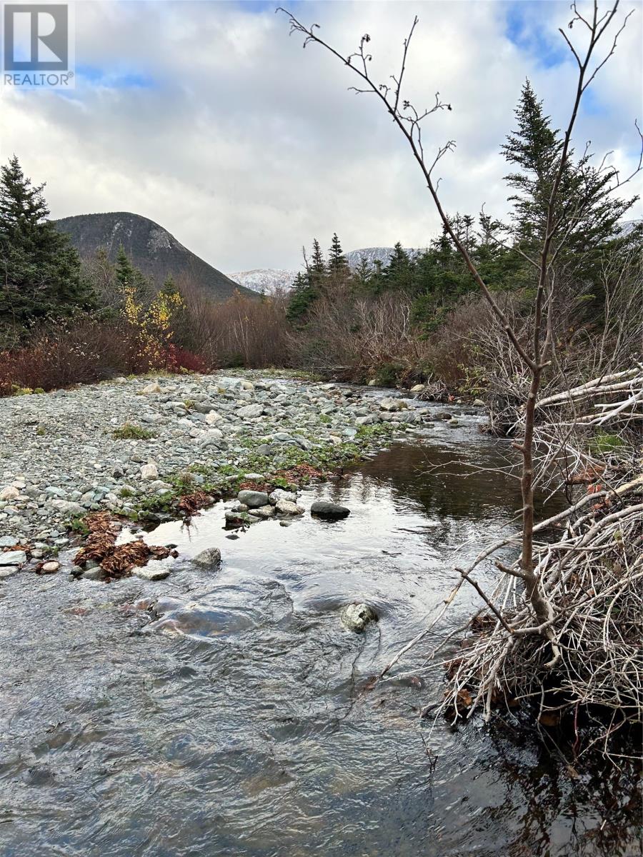 01 Old TCH Road, Campbells Brook, Newfoundland & Labrador