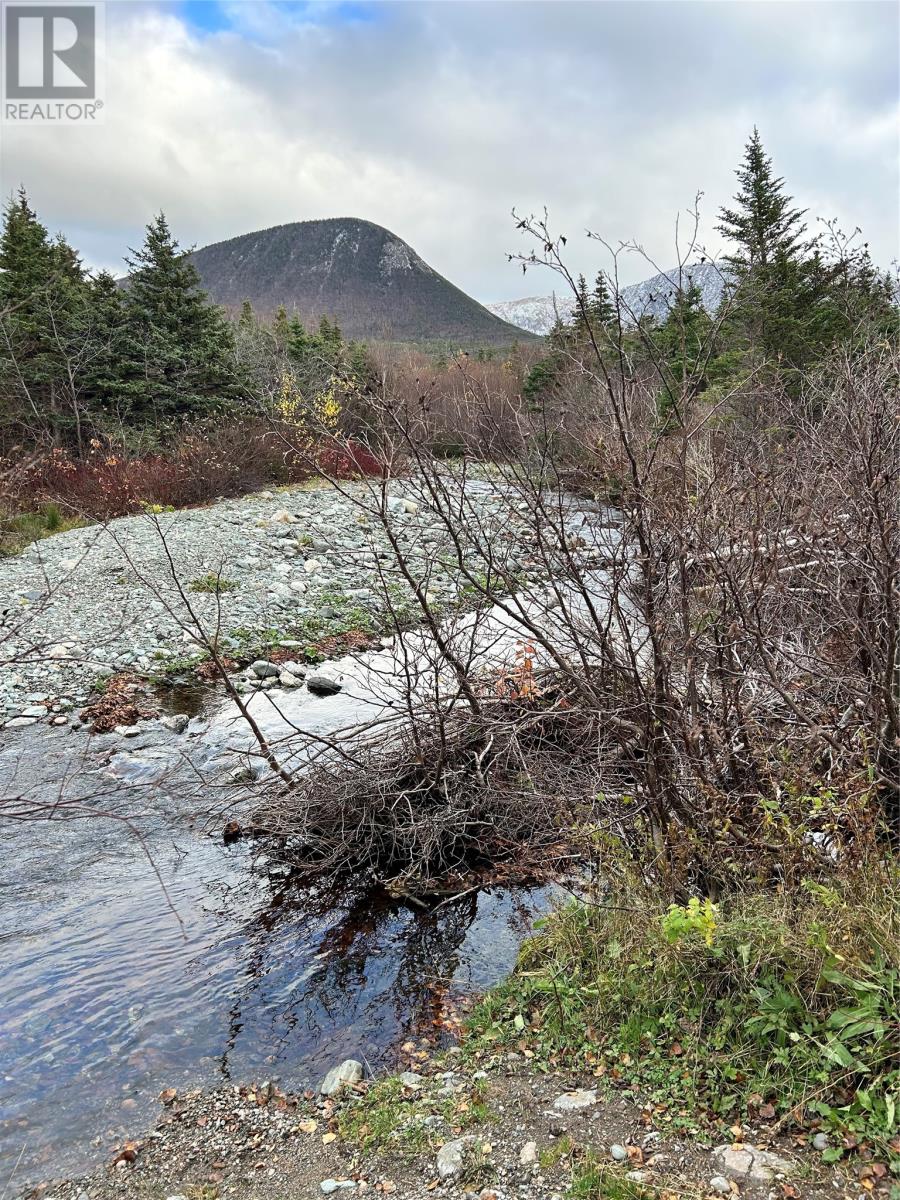 01 Old Tch Road, Campbells Brook, Newfoundland & Labrador  A0N 1J0 - Photo 12 - 1286553