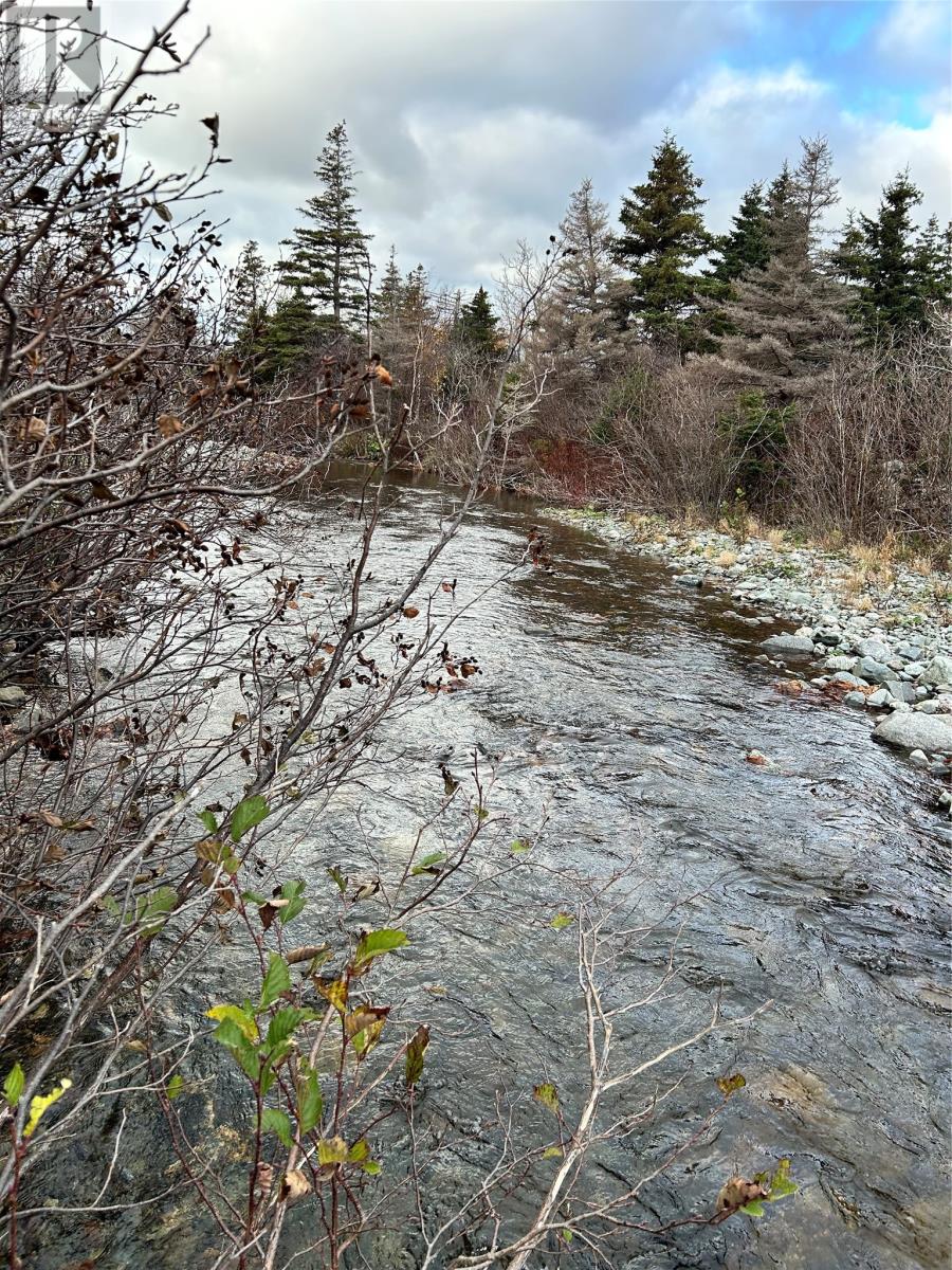 01 Old Tch Road, Campbells Brook, Newfoundland & Labrador  A0N 1J0 - Photo 13 - 1286553
