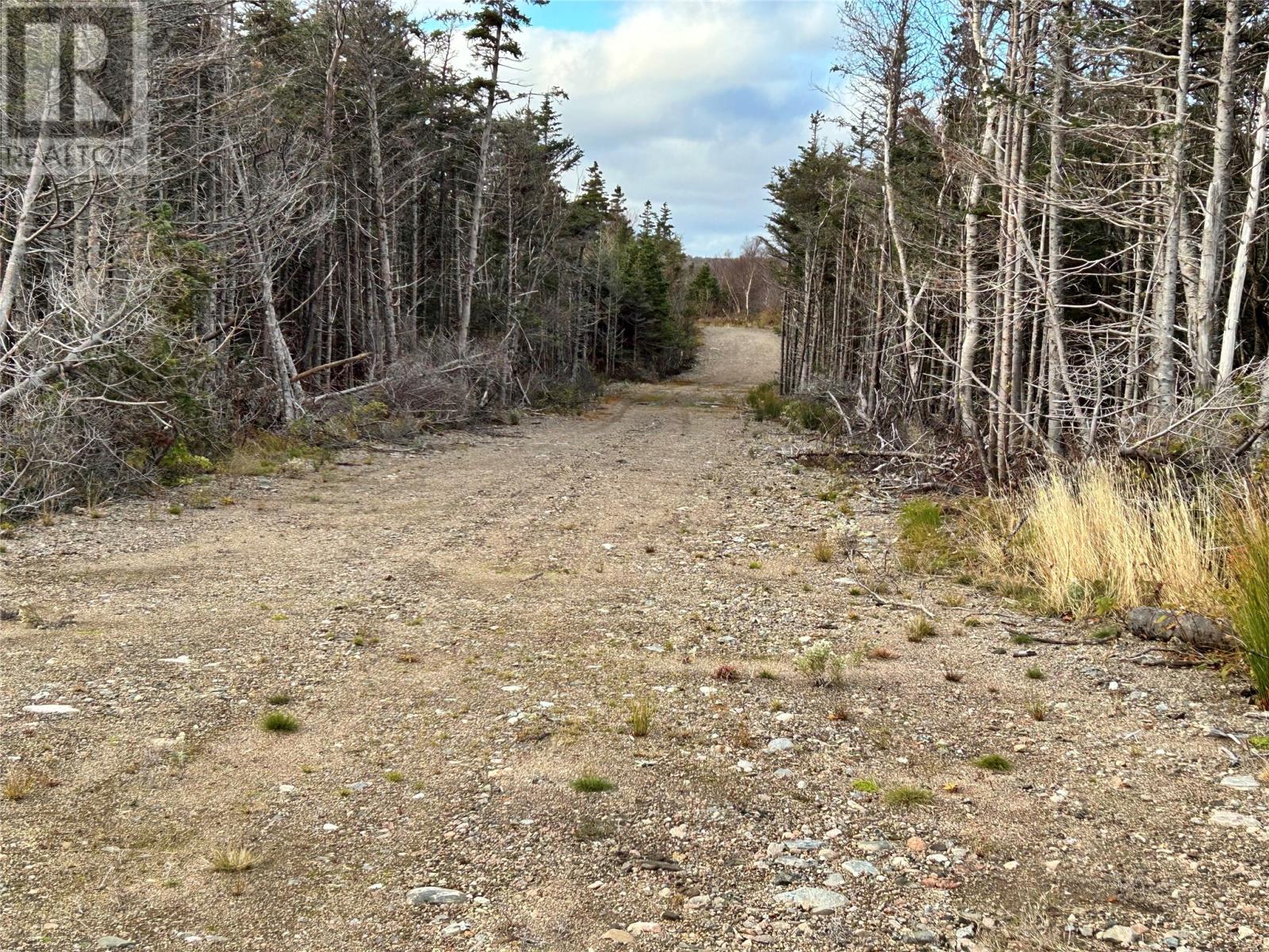 01 Old Tch Road, Campbells Brook, Newfoundland & Labrador  A0N 1J0 - Photo 3 - 1286553