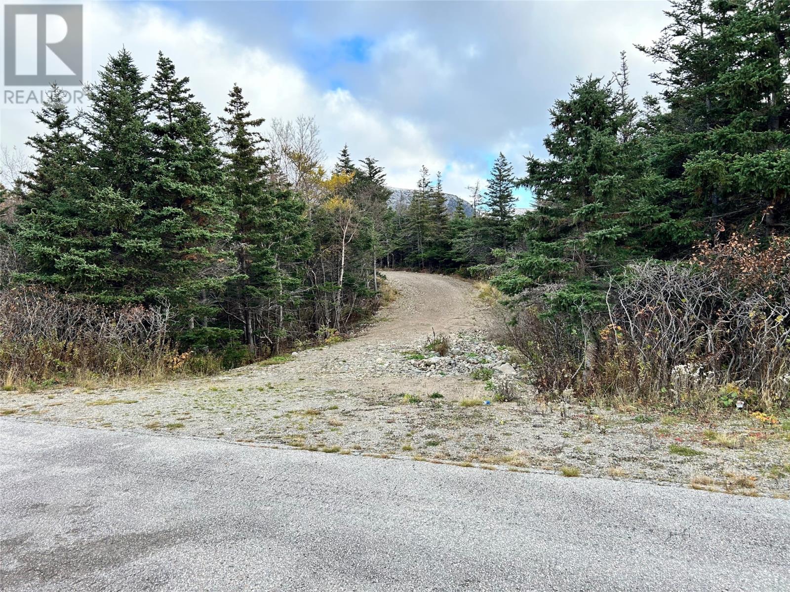 01 Old Tch Road, Campbells Brook, Newfoundland & Labrador  A0N 1J0 - Photo 4 - 1286553