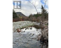 01 Old TCH Road, Campbells Brook, Newfoundland & Labrador