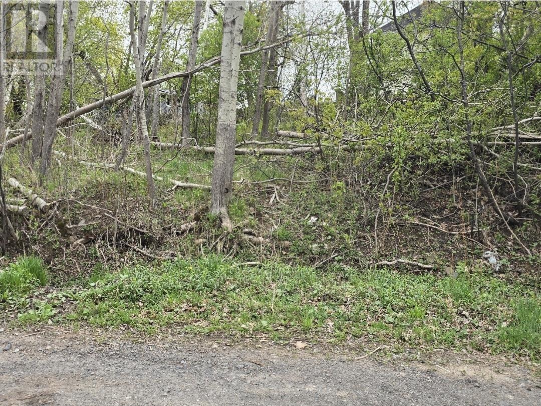 Lot 2 Brook Street, Trenton, Nova Scotia  B0K 1X0 - Photo 3 - 202512980