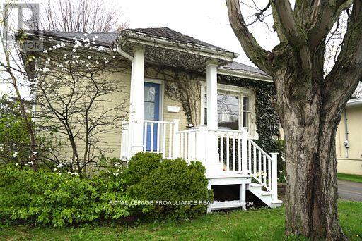 Property at 384 D'ARCY STREET image 2