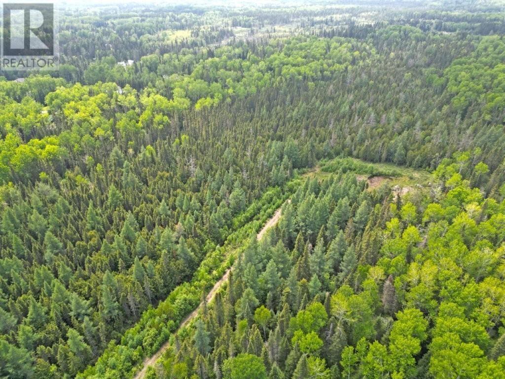 2999 Alice Ave, Thunder Bay, Ontario  P7G 1X4 - Photo 11 - TB251706