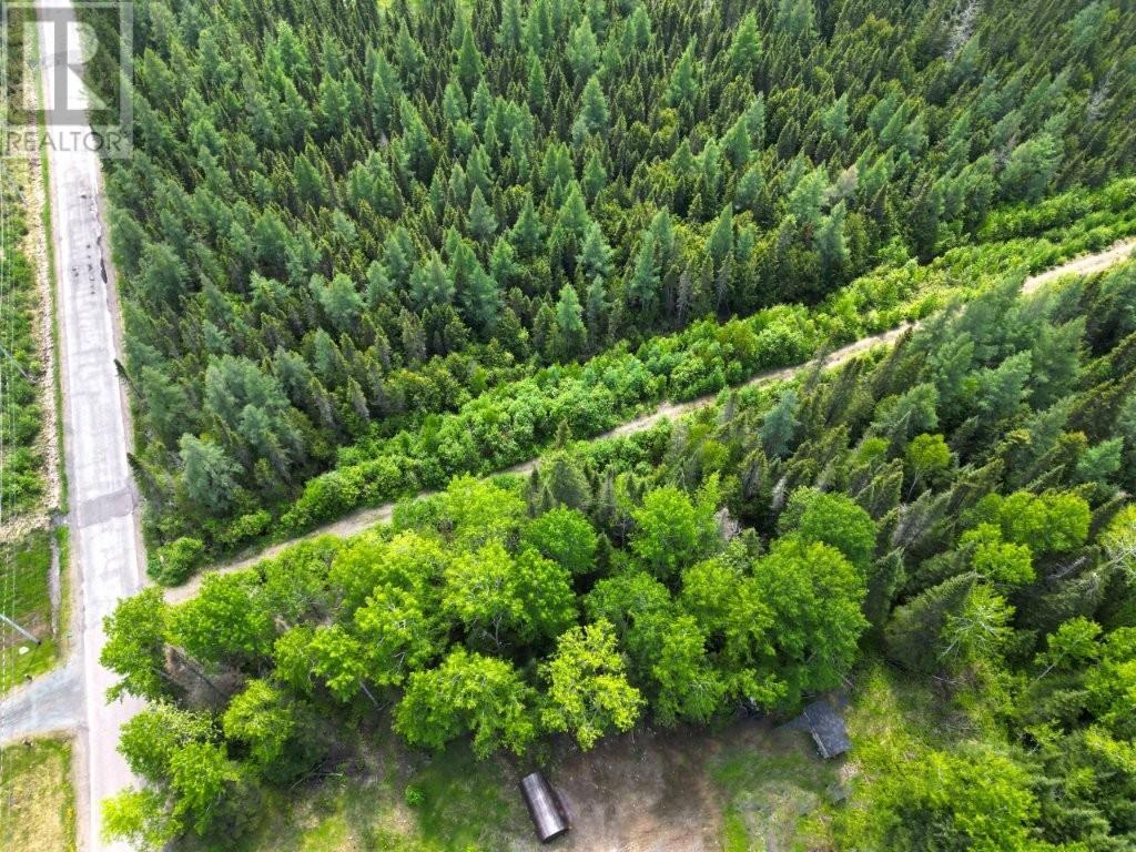 2999 Alice Ave, Thunder Bay, Ontario  P7G 1X4 - Photo 14 - TB251706