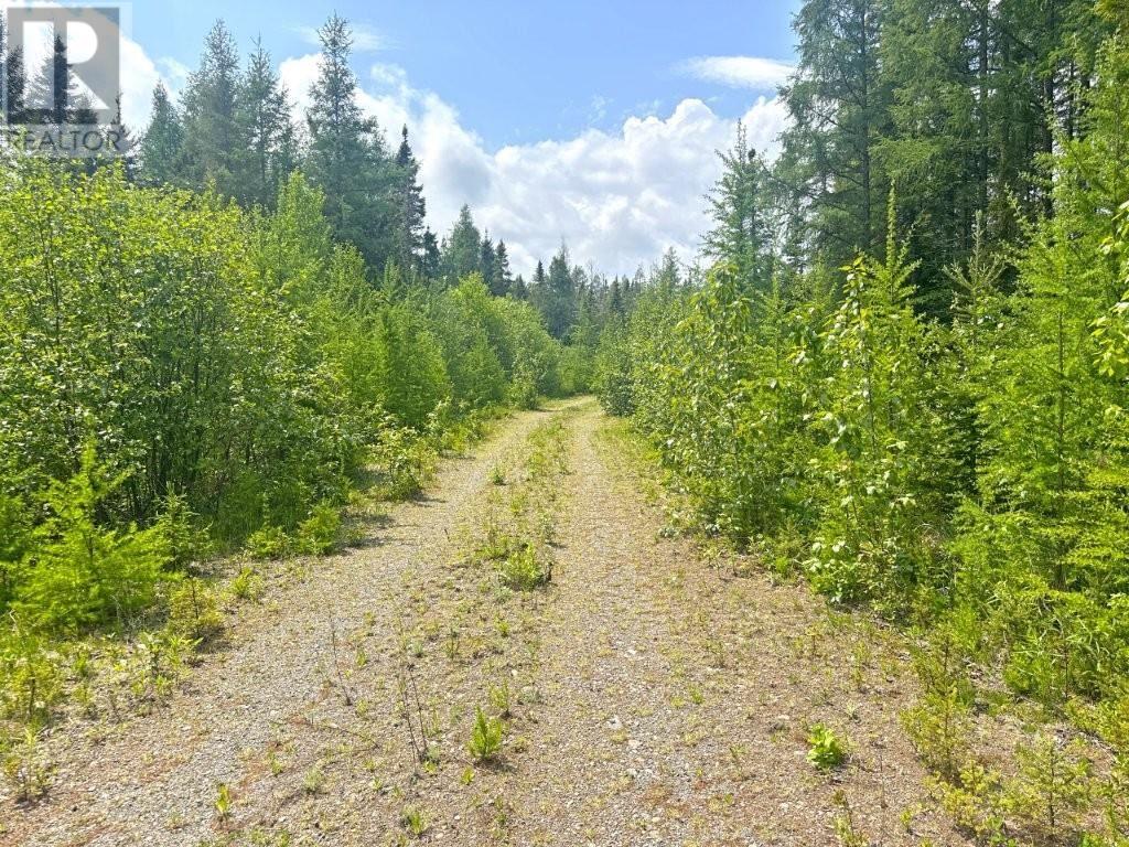 2999 Alice Ave, Thunder Bay, Ontario  P7G 1X4 - Photo 20 - TB251706