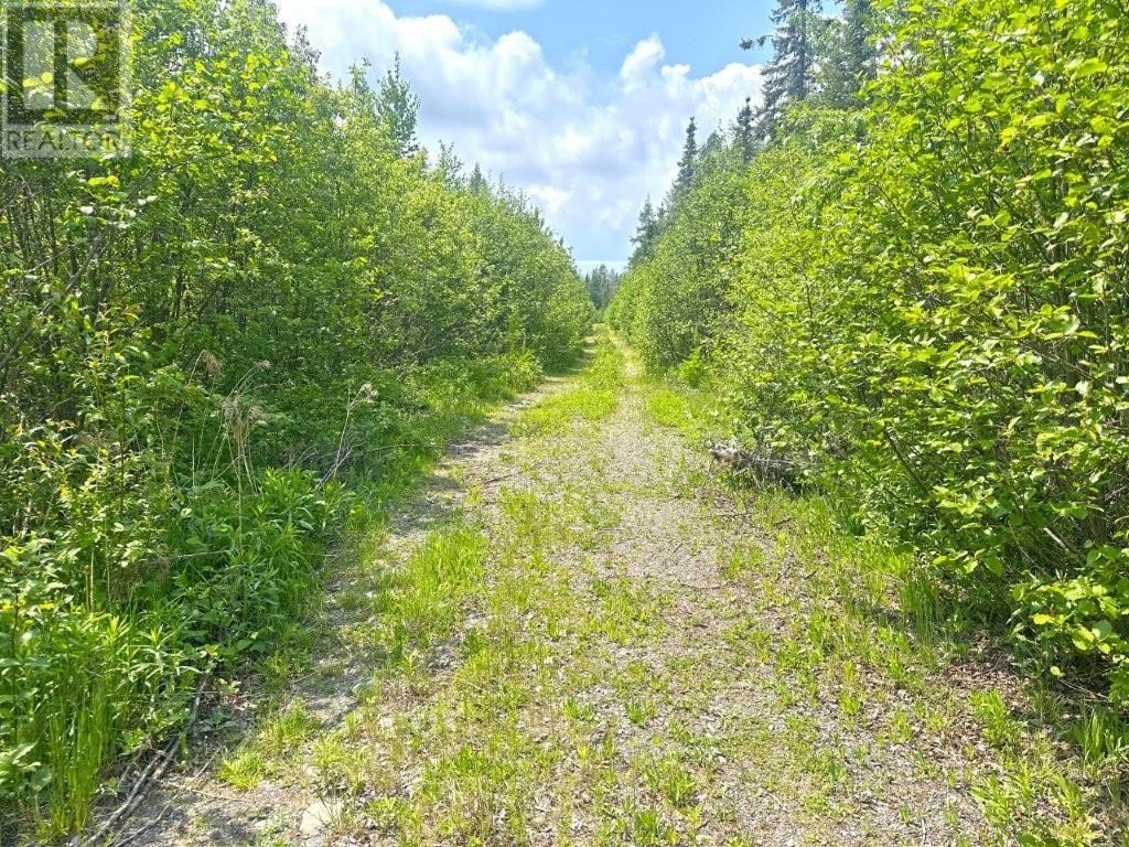 2999 Alice Ave, Thunder Bay, Ontario  P7G 1X4 - Photo 26 - TB251706