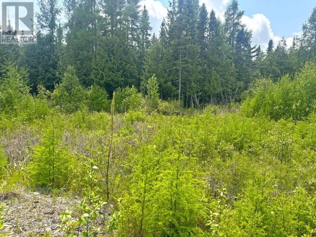 2999 Alice Ave, Thunder Bay, Ontario  P7G 1X4 - Photo 28 - TB251706