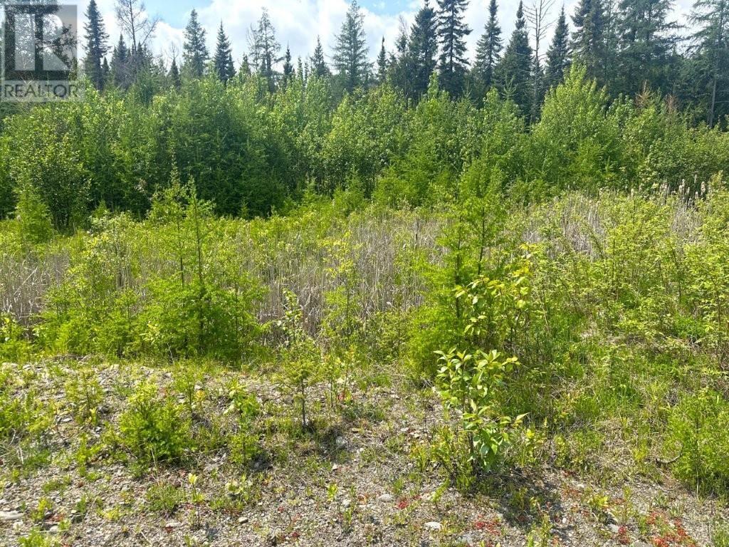 2999 Alice Ave, Thunder Bay, Ontario  P7G 1X4 - Photo 29 - TB251706