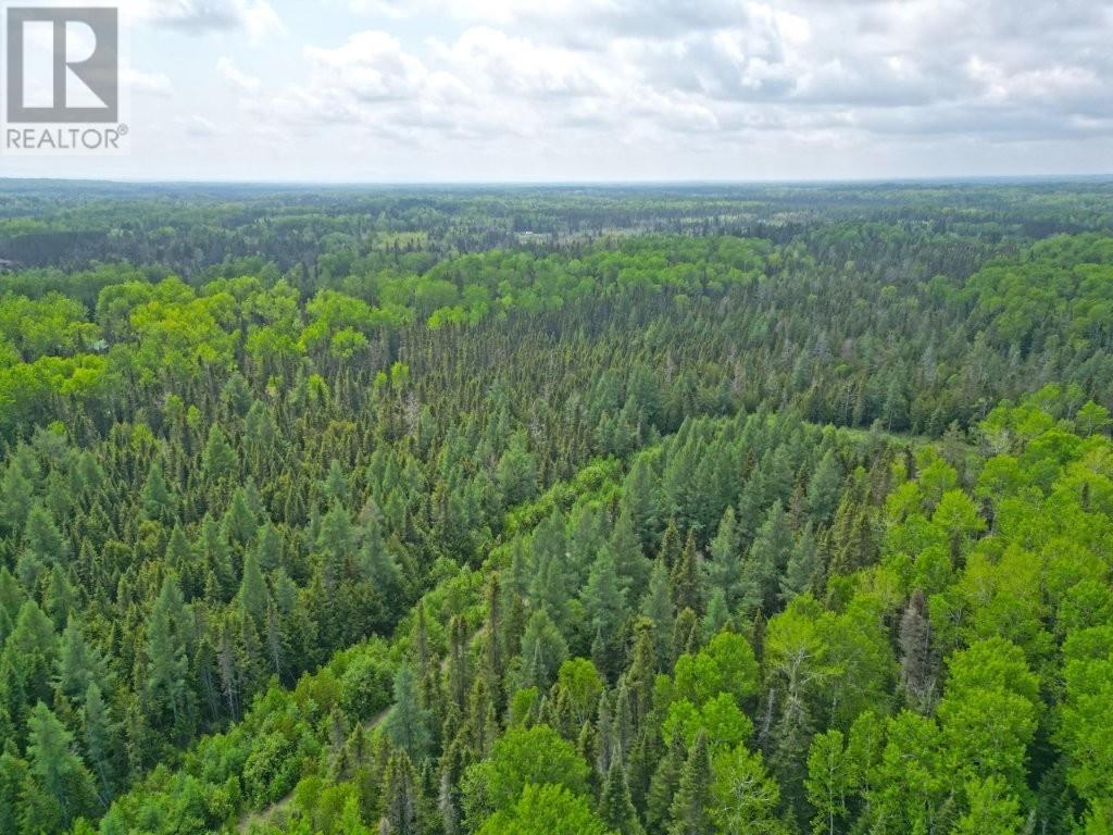 2999 Alice Ave, Thunder Bay, Ontario  P7G 1X4 - Photo 3 - TB251706