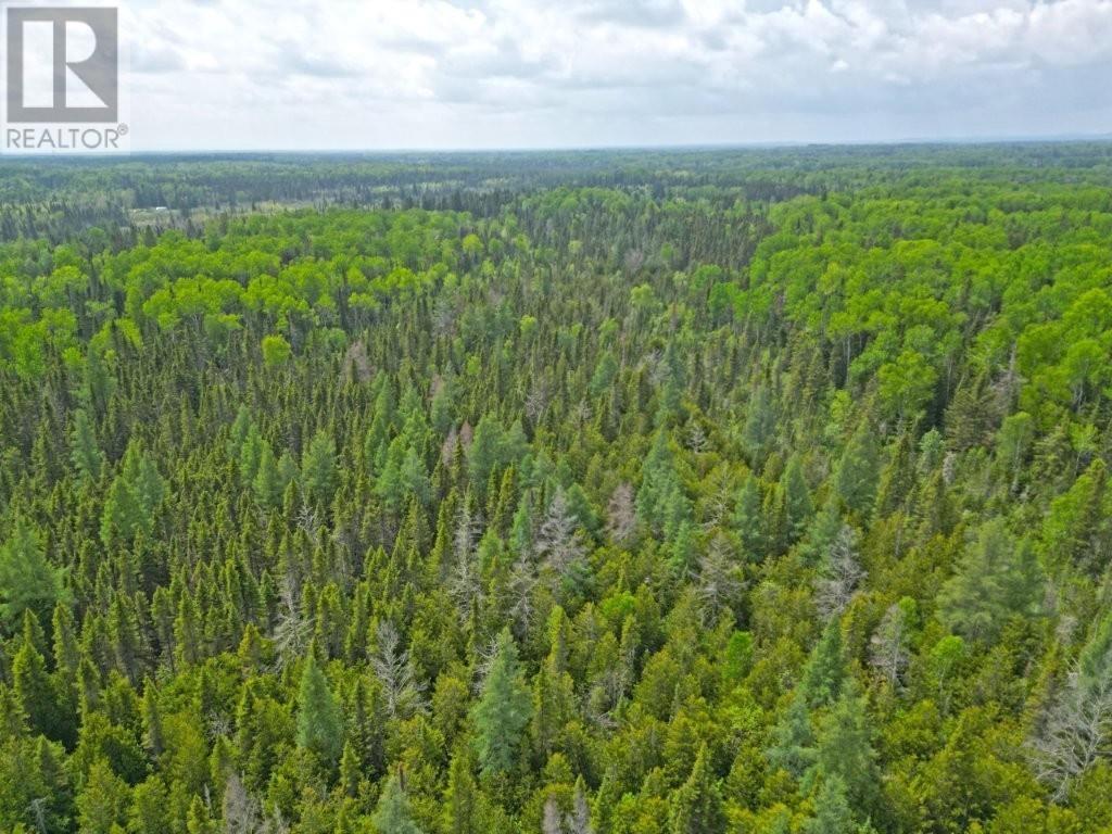 2999 Alice Ave, Thunder Bay, Ontario  P7G 1X4 - Photo 4 - TB251706