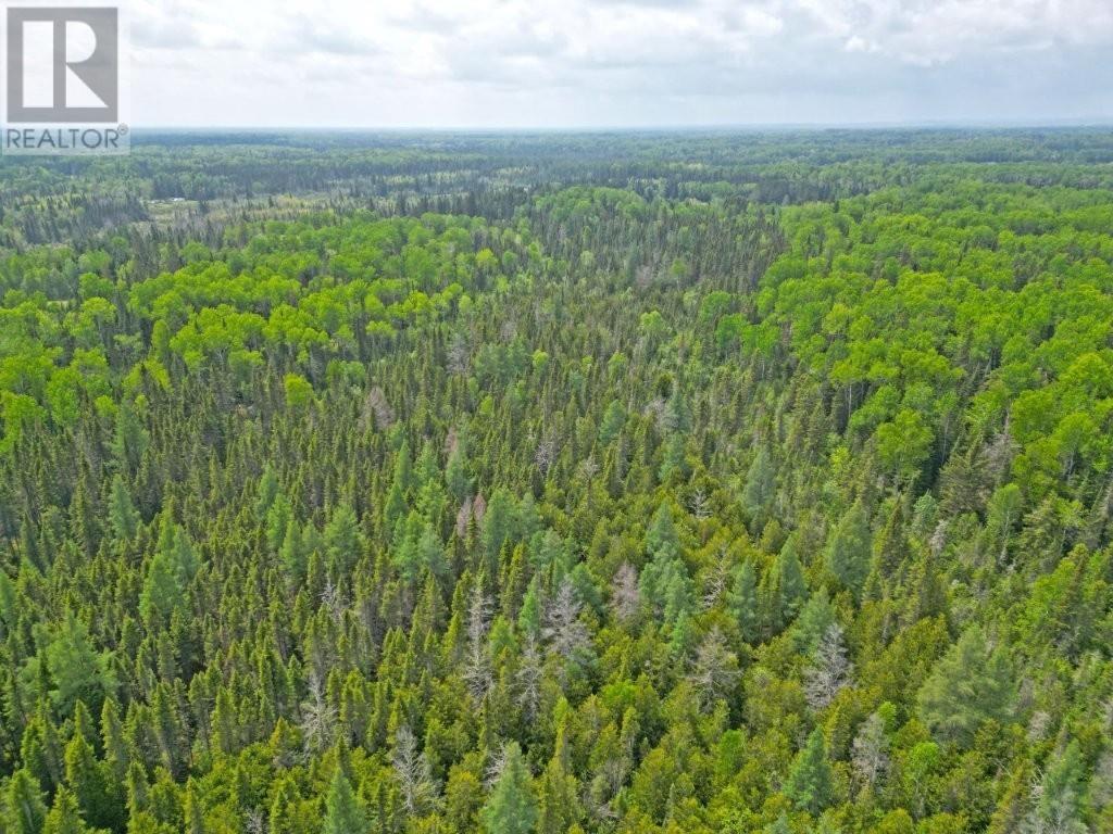 2999 Alice Ave, Thunder Bay, Ontario  P7G 1X4 - Photo 5 - TB251706