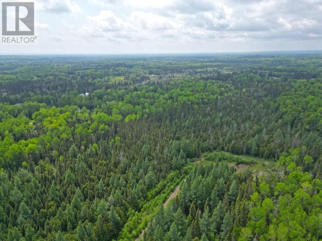 2999 Alice Ave, Thunder Bay, Ontario  P7G 1X4 - Photo 8 - TB251706