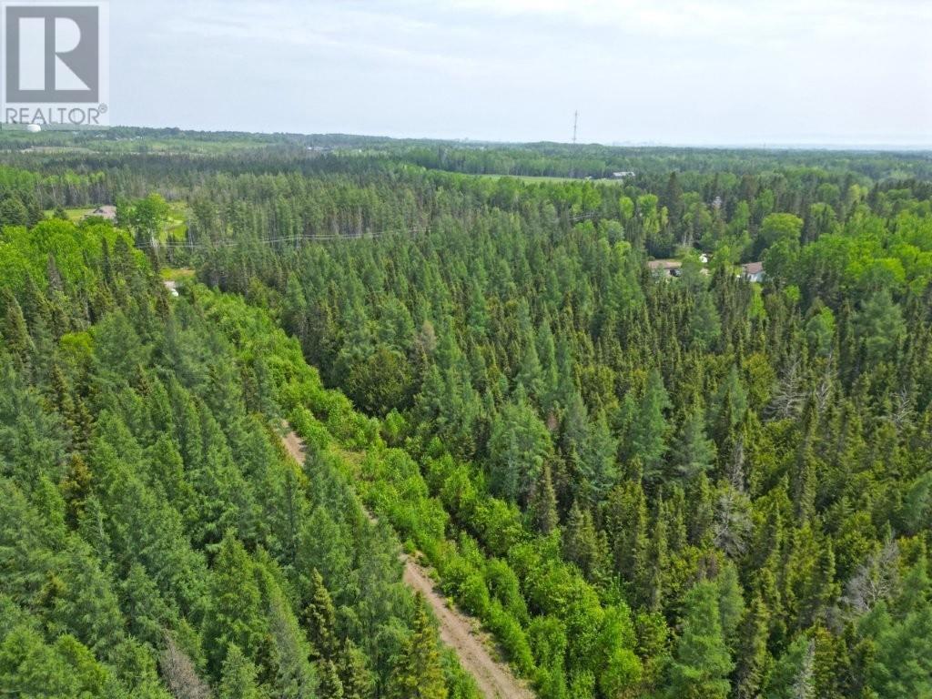 2999 Alice Ave, Thunder Bay, Ontario  P7G 1X4 - Photo 9 - TB251706