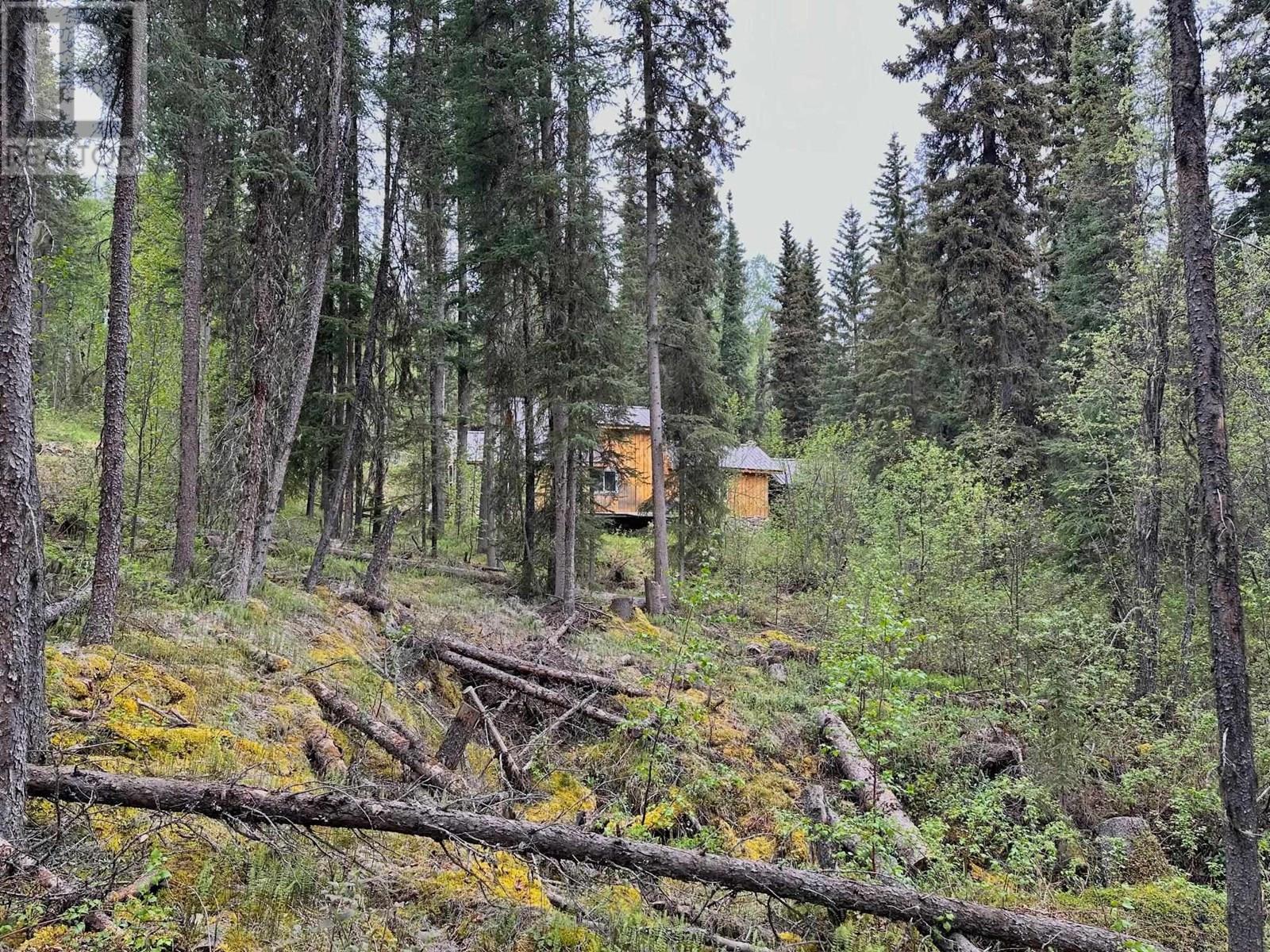 Tetsa River Access Road, Fort Nelson, British Columbia  V0C 1R0 - Photo 18 - R3015733
