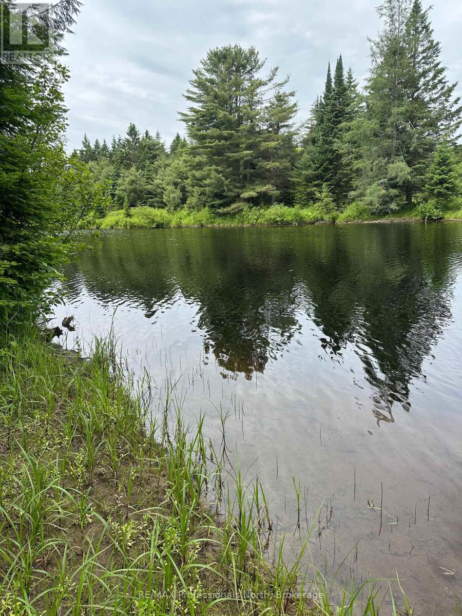 170 Cedar Shores Private, Bracebridge (Macaulay), Ontario  P1L 1W9 - Photo 12 - X12224220