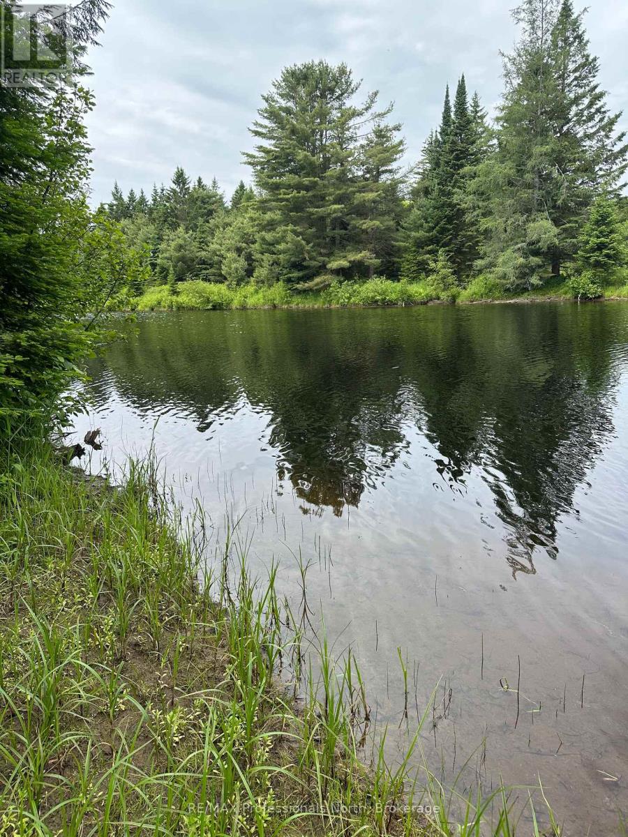 170 Cedar Shores Private, Bracebridge (Macaulay), Ontario  P1L 1W9 - Photo 13 - X12224220