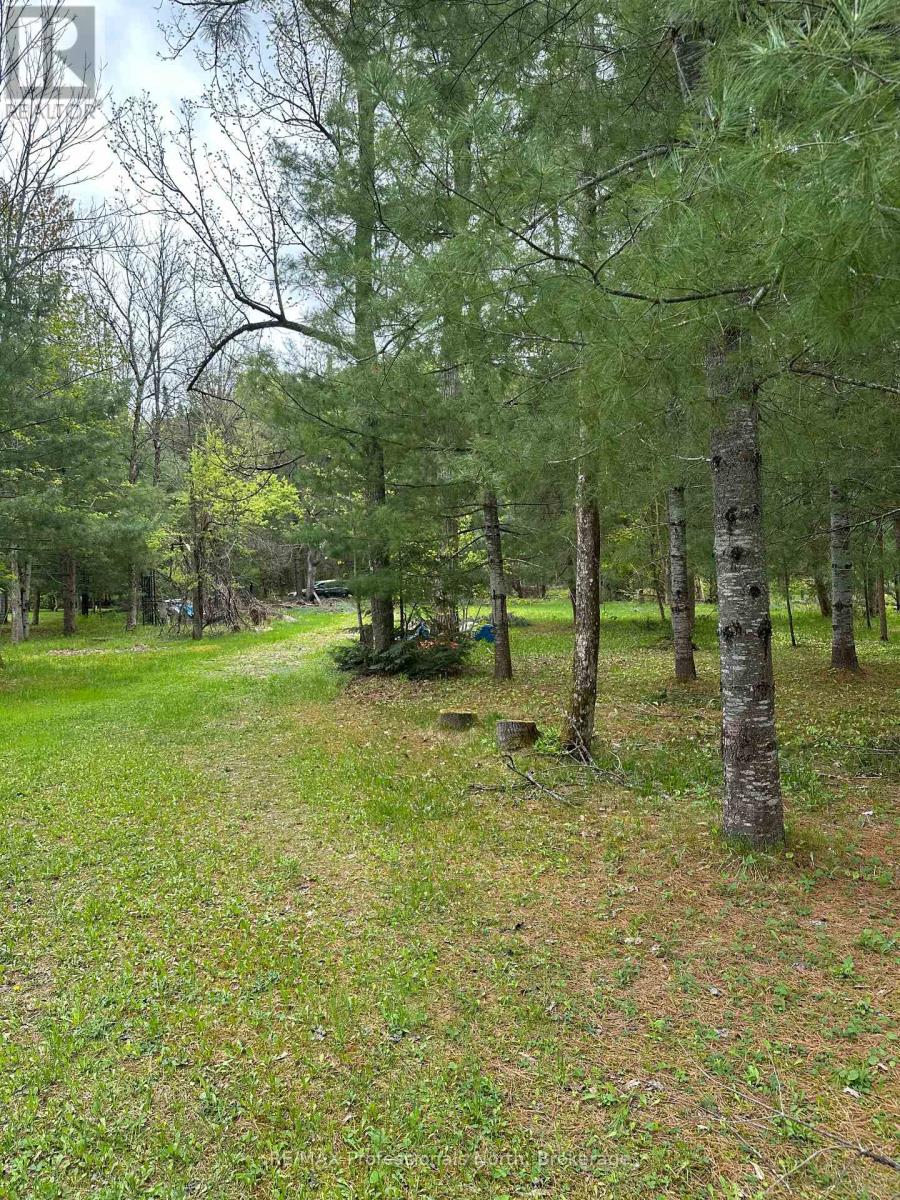 170 Cedar Shores Private, Bracebridge (Macaulay), Ontario  P1L 1W9 - Photo 5 - X12224220