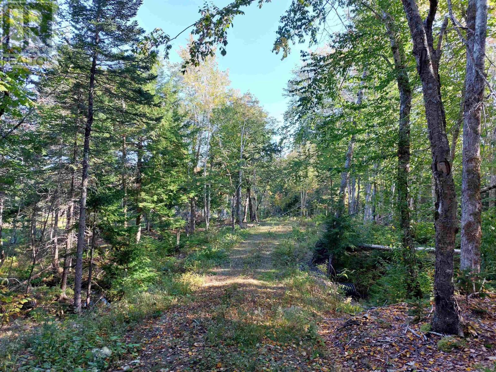 Lot 50 Redbird Dr., Militia Point, Nova Scotia  B0E 2Y0 - Photo 7 - 202506956