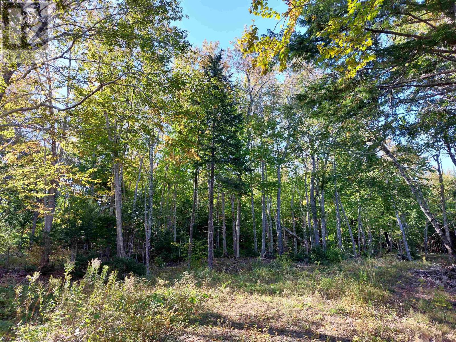 Lot 50 Redbird Dr., Militia Point, Nova Scotia  B0E 2Y0 - Photo 13 - 202506956
